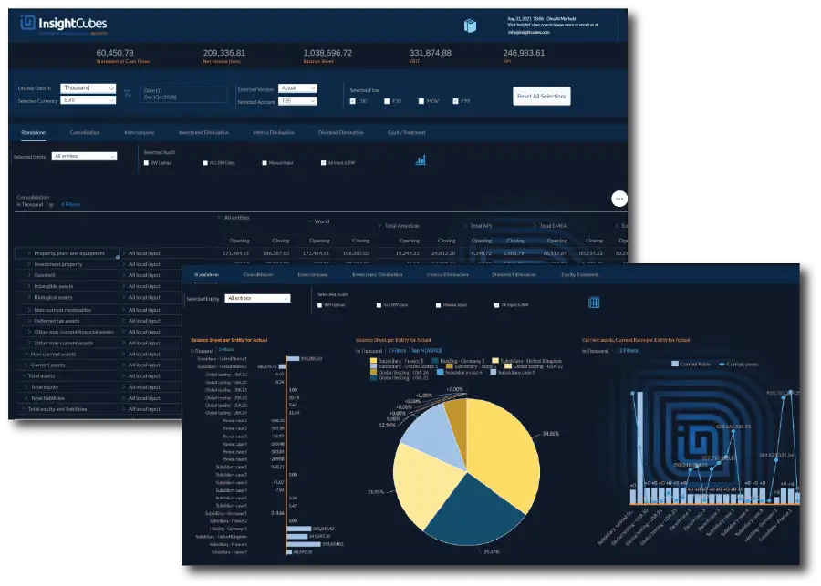 InsightCubes SAP Analytics Designer Standalone analytics application