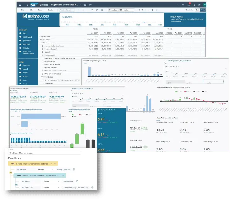 InsightCubes SAP Analytics Designer Consolidated budget, forecast input story