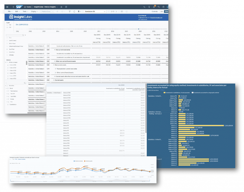 InsightCubes SAP Analytics Designer Standalone Intercompany insights story