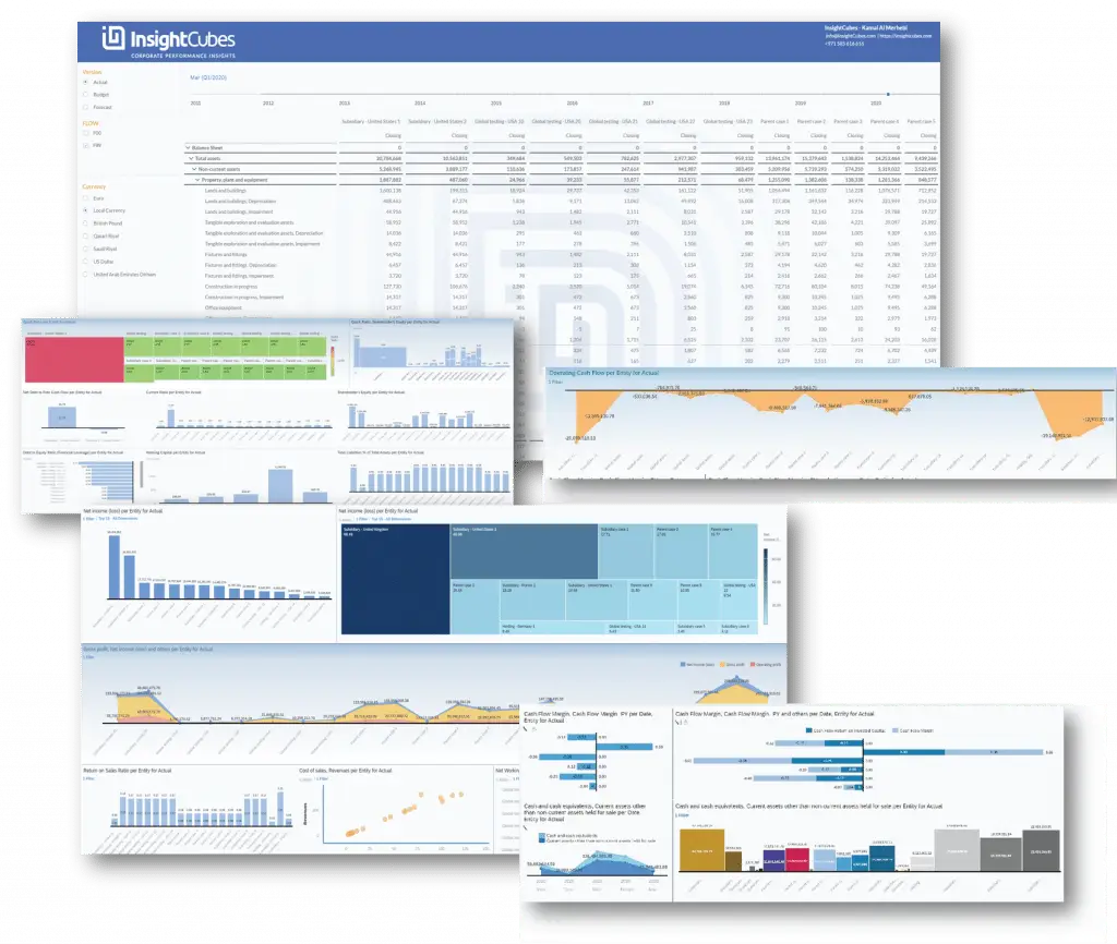 InsightCubes SAP Analytics Designer Standalone Financial insights story