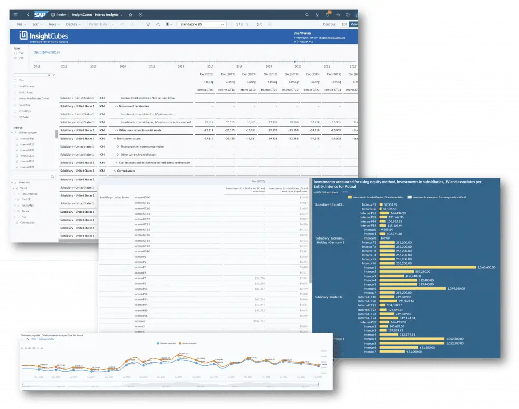 InsightCubes SAP Analytics Designer Standalone Intercompany insights story