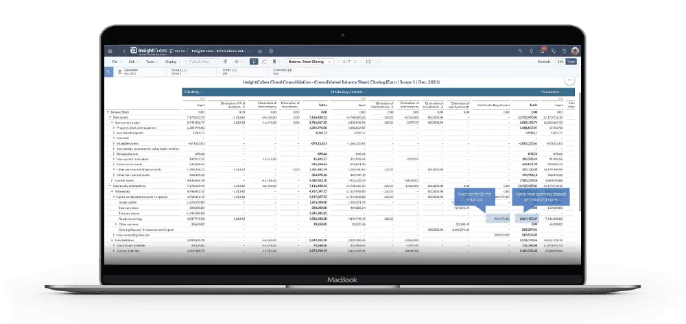 InsightCubes Consolidation Extension for SAP Analytics Cloud- Eliminations and adjustments