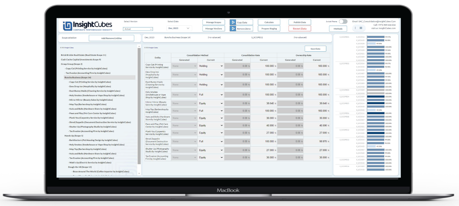 Ownership interface of the consolidation solution for SAP analytics cloud