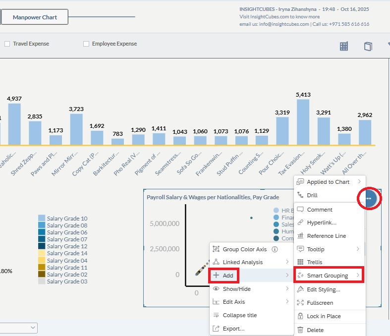 InsightCubes_SAP_Analytic_Cloud_Smart_Grouping