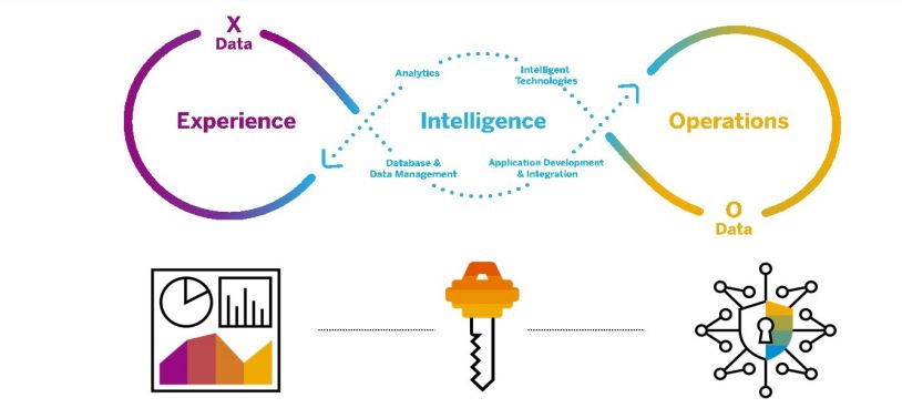 InsightCubes_SAP Intelligent Enterprise