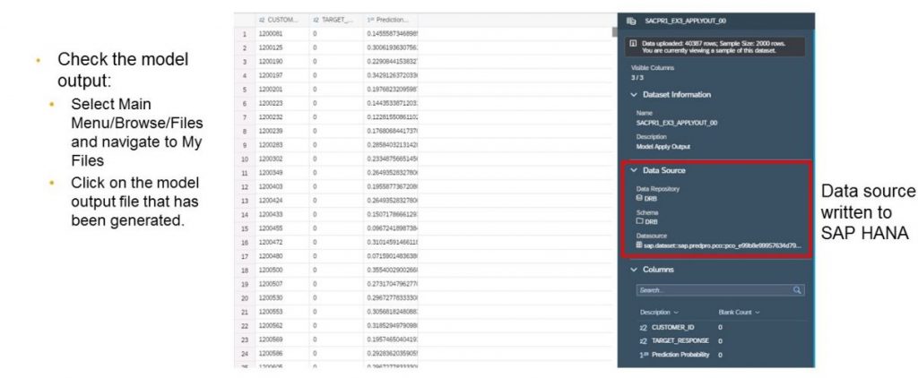 InsightCubes_SAC_ModelOutputData