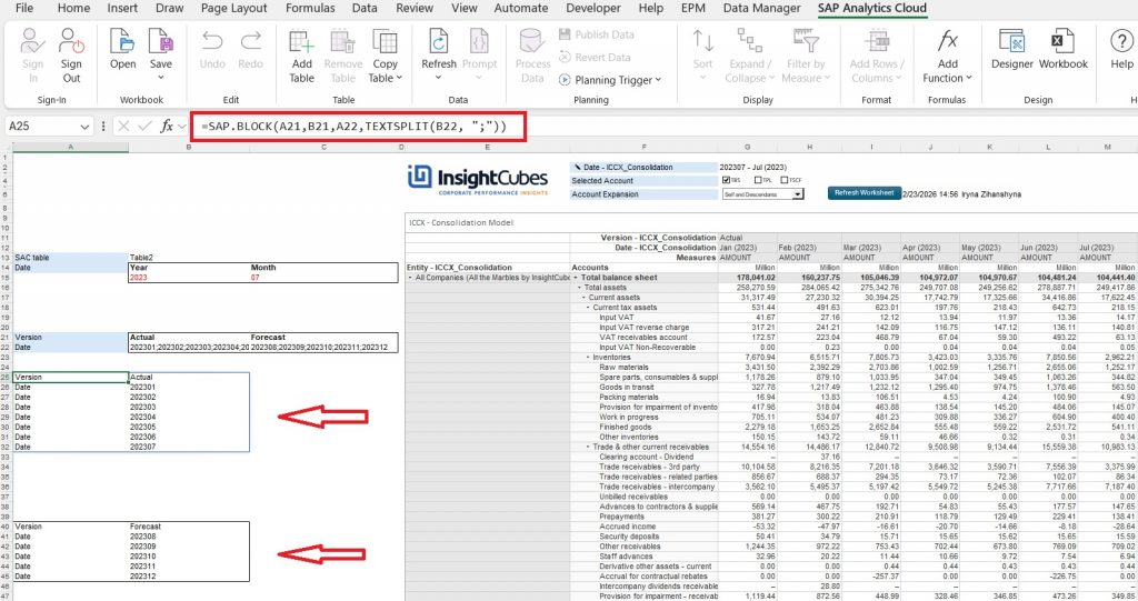 InsightCubes_SAC_Excel_Add_in_Block_Formula